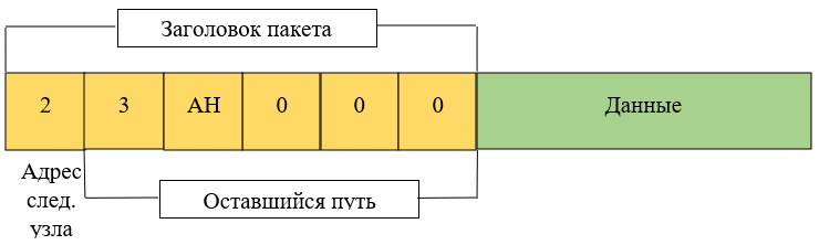Fig.6 – View of a packet when passing through the Tor network entry node