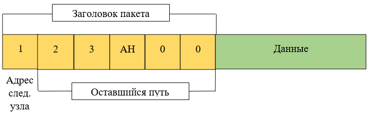 Fig. 5 – Example of a packet in the Tor network before sending
